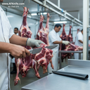 Chef-379-5.webp