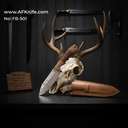 FB-501-7.webp