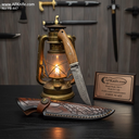 FB-447-4.webp