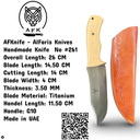 Fixed Blad Clip Point Titanium Steel Knife #261