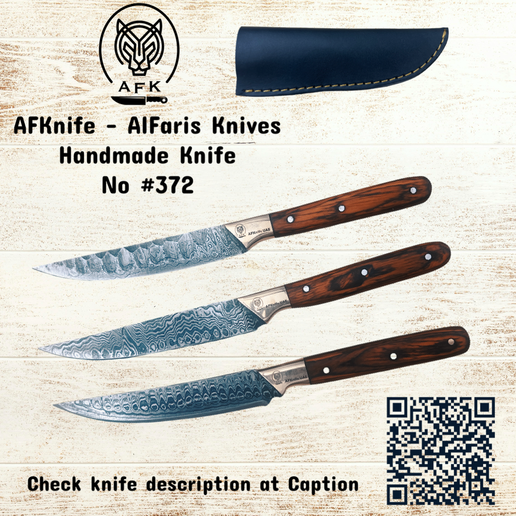 [372] Fixed Blade Straight Back ( Damascus 1095 ) EDC Knife #372