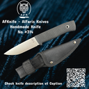 Fixed Blad Straight Back Stainless Steel 440C Knife #314